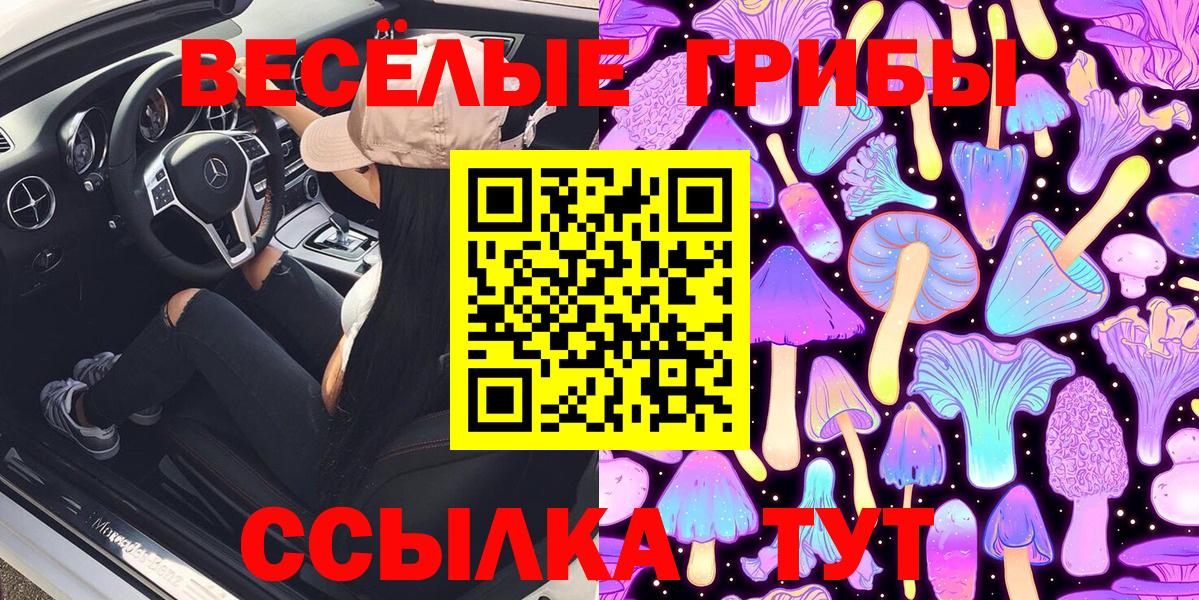 Галлюциногенные грибы мицелий  Вход с VPN  Галлюциногенные грибы ЛСД  Моздок 